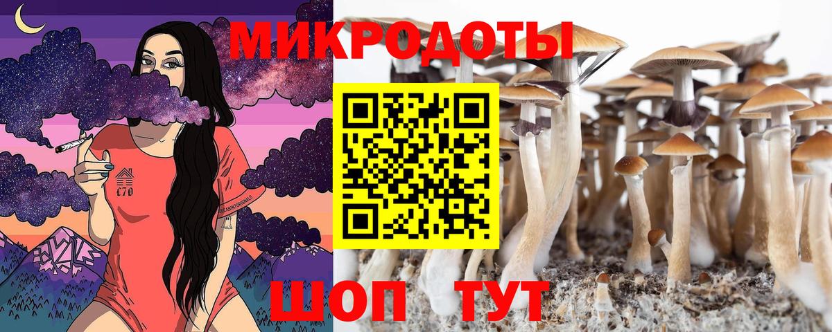 Галлюциногенные грибы Magic Shrooms Саранск