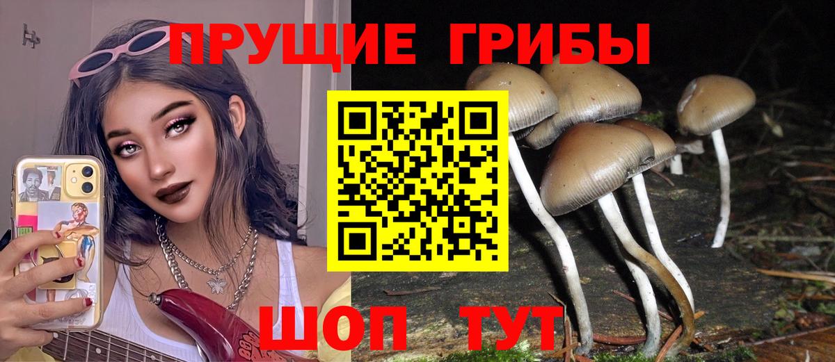 Галлюциногенные грибы мухоморы  купить закладку  Галлюциногенные грибы мухоморы  Саранск  Вход с VPN 